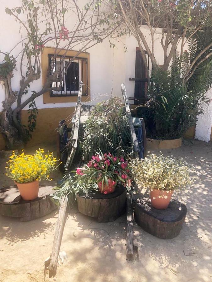Posada Rural La Corbera Utrera Kültér fotó