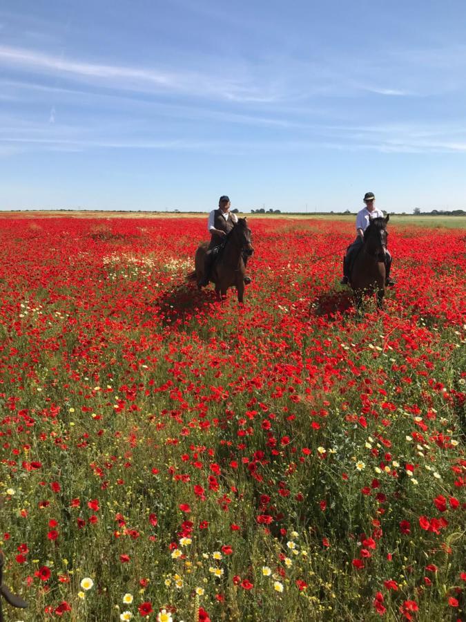 Posada Rural La Corbera Utrera Kültér fotó